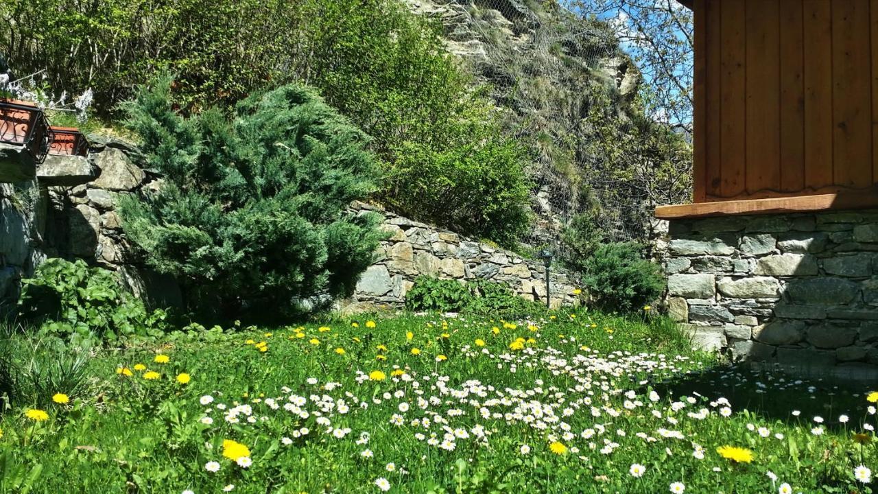 Il Rifugio Della Volpe Apartment Интрод Екстериор снимка